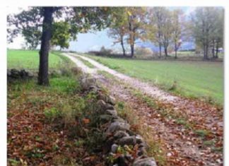 Le pas de la vie s’est ouvert dans de nouvelles directions